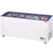Picture of Diamond SLID Range Deep Display Freezer 290 Litres - SLID11R2OG