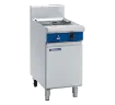 Picture of Blue Seal Evolution Series G47 - 450mm Gas Pasta Cooker - G47OG