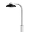 Picture of Olympia Single Bottle Bar Optic Holder Wall Mount - W623