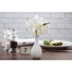 Picture of Olympia Whiteware Bud Vases 125mm (12 pack) - W437
