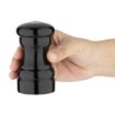 Picture of Olympia Salt and Pepper Set Black - GL087