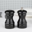 Picture of Olympia Salt and Pepper Set Black - GL087