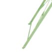 Picture of Bolero Round Pavement Style Steel Folding Table Light Green 595mm - FT272