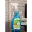 Picture of Jantex Green Glass and Stainless Steel Cleaner Ready To Use 750ml - FS413