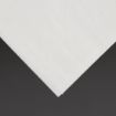 Picture of Fiesta Recyclable Dinner Napkin White 40x40cm 2ply 1/8 Fold (Pack of 2000) - FE243