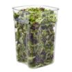 Picture of Cambro FreshPro Camsquare Food Storage Container 20.8Ltr - CU142