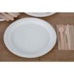 Picture of Fiesta Compostable Bagasse Plates Round 260mm (Pack of 50) - CW904