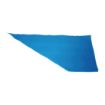 Picture of Vogue Anti-Slip Disposable Blue Piping Bags (100 pack) - CS803