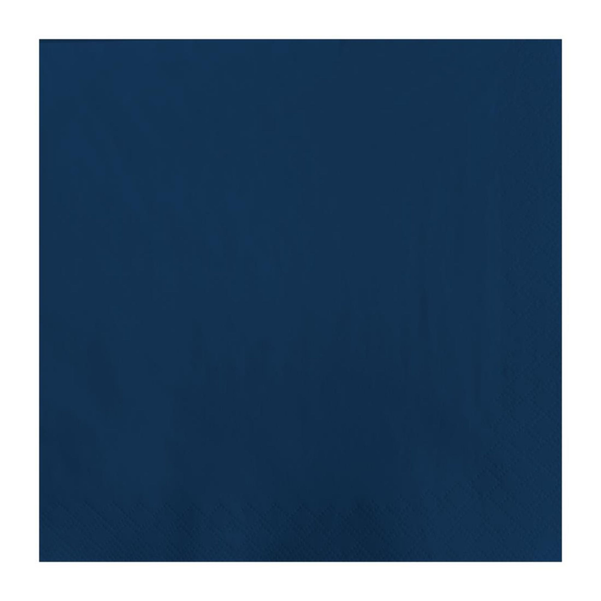 Picture of Fasana Lunch Napkin Blue 33x33cm 2ply 1/4 Fold (Pack of 1500) - CK877
