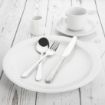 Picture of Olympia Athena Narrow Rimmed Plates 284mm (Pack of 6) - CF365