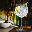 Picture of Olympia Serena Red Wine/Gin Glasses 650ml (6 Pack) - CZ002