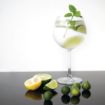 Picture of Olympia Bar Collection Crystal Gin Glasses 645ml (Pack of 6) - CW251