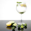 Picture of Olympia Bar Collection Crystal Gin Glasses 645ml (Pack of 6) - CW251