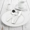 Picture of Olympia Whiteware Wide Rimmed Plates 250mm (Pack of 12) - CB481