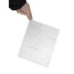Picture of Lunch Napkin White 27x21cm 1ply M Fold (Pack of 6000) - CB392