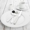 Picture of Olympia Whiteware Wide Rimmed Plates 280mm (Pack of 6) - CB482