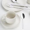 Picture of Olympia Kelso Teaspoon (12 Pack) - C121