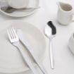 Picture of Olympia Kelso Dessert Spoon (12 pack) - C120