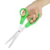 Picture of Hygiplas Green Colour Coded Scissors - DM039