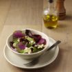 Picture of Olympia Chia Plates Sand 270mm (Pack of 6) - DR807