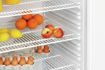 Picture of Refrigerator 600 WSTL - 700854