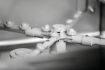 Picture of Dishwasher GS M400 LPR K - 110462