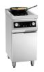 Picture of 2-Hob Induction Stove GU - 105764