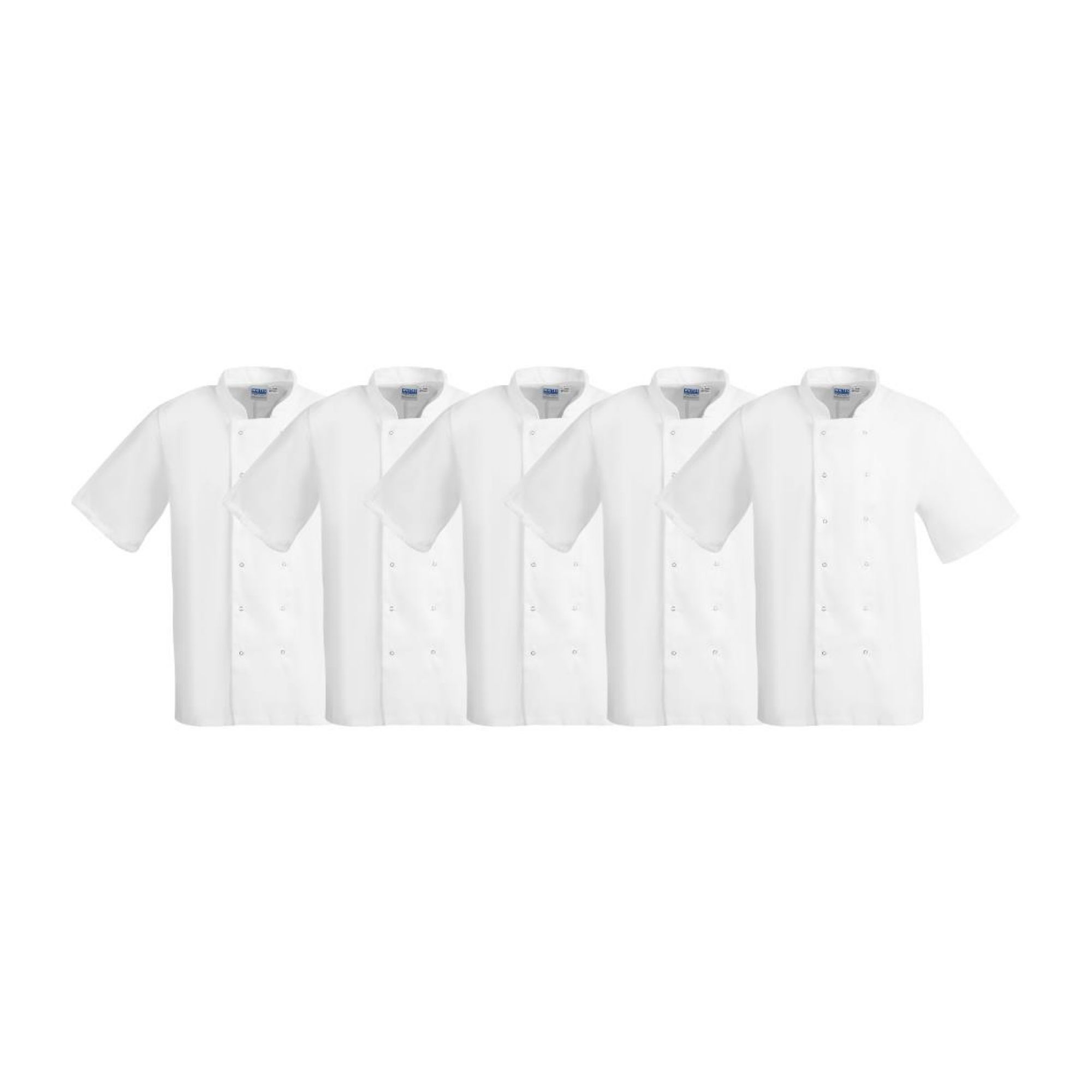 Picture of Whites Boston Unisex Short Sleeve Chefs Jacket White L - SA823