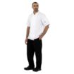 Picture of Whites Boston Unisex Short Sleeve Chefs Jacket White L - SA823