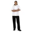 Picture of Whites Boston Unisex Short Sleeve Chefs Jacket White L - SA823