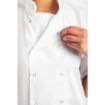 Picture of Whites Boston Unisex Short Sleeve Chefs Jacket White L - SA823