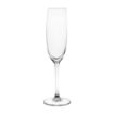 Picture of Olympia Novello Crystal Champagne Flutes 180ml (6 pack) - HW653