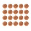 Picture of Jantex Coppercote Scourers (20 Pack) - HX239