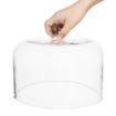 Picture of Olympia Glass Dome 240x190mm - HW799