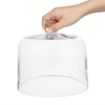 Picture of Olympia Glass Dome 200x170mm - HW798