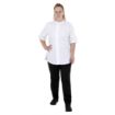 Picture of Southside Harlem Chefs Jacket White Short Sleeve Mesh Size L - BA116-L