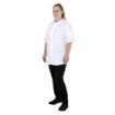 Picture of Southside Harlem Chefs Jacket White Short Sleeve Mesh Size L - BA116-L
