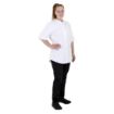 Picture of Southside Harlem Chefs Jacket White Short Sleeve Mesh Size L - BA116-L