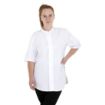 Picture of Southside Harlem Chefs Jacket White Short Sleeve Mesh Size L - BA116-L